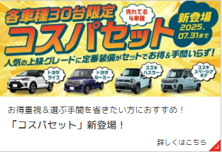 スクリーンショット 2025-06-20 001525